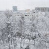 Москвичей ожидают снегопад и морозы