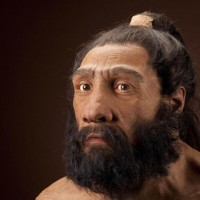 Генетики ищут суррогатную мать, которая родит праотца всех современных людей