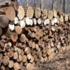 Королевская семья в Великобритании запасается дровами