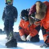 Группа учёных нашла во льдах Антарктиды крупный метеорит