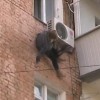 В Ровно 97-летняя женщина выпала из окна и зацепилась за кондиционер