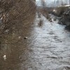 В Киеве река Лыбидь начала выходить из берегов
