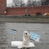 По Москва-реке к Кремлю плыл белый медведь на льдине 