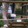 В Бердичеве 8-летнюю девочку убили качели, подаренные народным депутатом