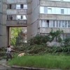 Ураган в Сумах валил деревья и билборды и срывал крыши