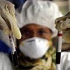 В Венесуэле вирус свиного гриппа грозит эпидемией