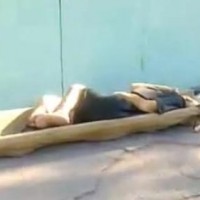 В Бахчисарае сотрудники морга выбрасывают покойников на улицу