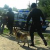 В Харькове арестовали милиционеров, осмелившихся задержать пьяного судью