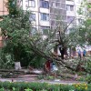 Шторм в Херсоне повалил деревья и подъемный кран, пострадал человек 