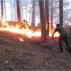 Под Ялтой снова горел лес