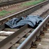 В Амурской области поезд задавил пять человек