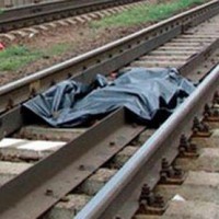 В Амурской области поезд задавил пять человек