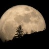 Сегодня ночью жители Земли смогут наблюдать «Супер-луну» 