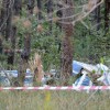 В Подмосковье на авиашоу разбился самолёт