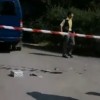 В Николаеве при ограблении инкассаторской машины убиты три человека