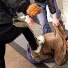 На Кировоградщине пьяные милиционеры избили семейную пару из России	