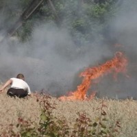 На Николаевщине Корнацкому решили сжечь поле пшеницы