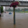 Из-за ливня в Москве затопило Боровское шоссе 