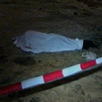 В лесу в Новой Москве найдено обезглавленное тело