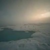 На Северном полюсе образовалось озеро