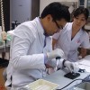 Ученые нашли способ выращивания фрагментов печени 
