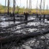 В Новосибирской области прорвало нефтепровод