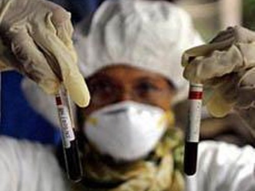 В Венесуэле вирус свиного гриппа грозит эпидемией