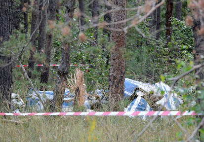 В Подмосковье на авиашоу разбился самолёт